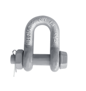DEE SHACKLES WITH SAFETY BOLT